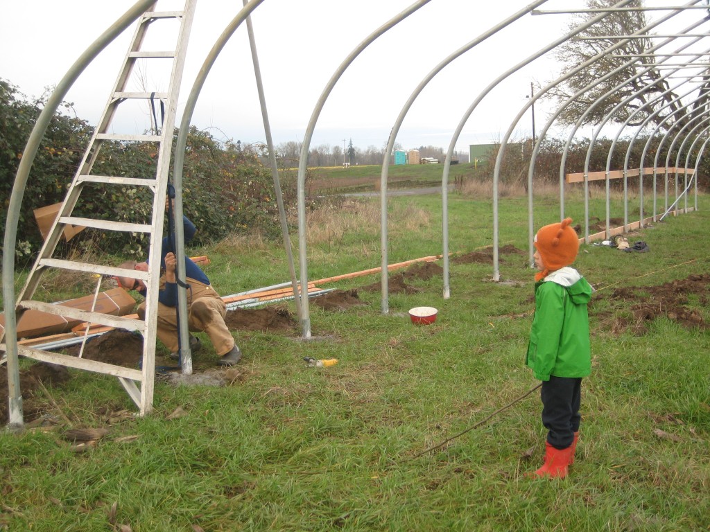 Greenhouse building time!