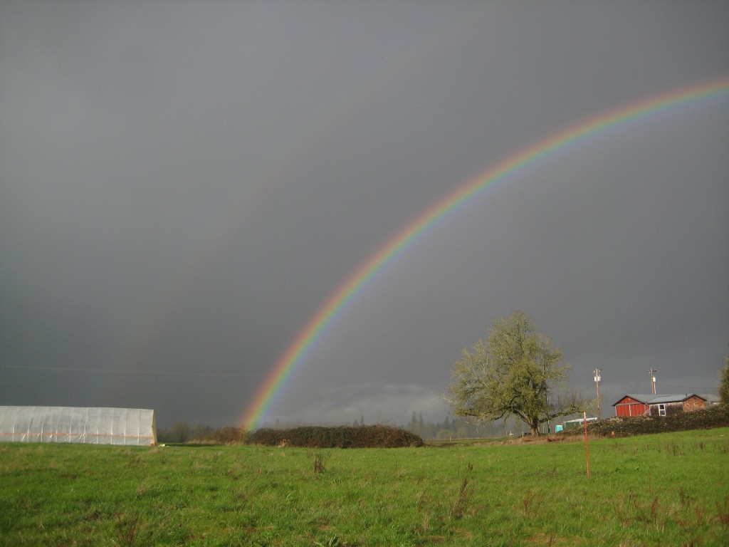 This last week's weather has reminded me more of spring than winter: wind, thunderstorms, and even some glorious rainbows! I was happy to catch this double rainbow with the camera!