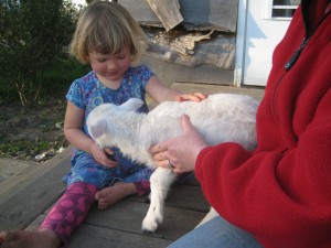 And some farm sweetness. Dottie with a lamb (who has been adopted by my mom -- his own mother wasn't feeding him).