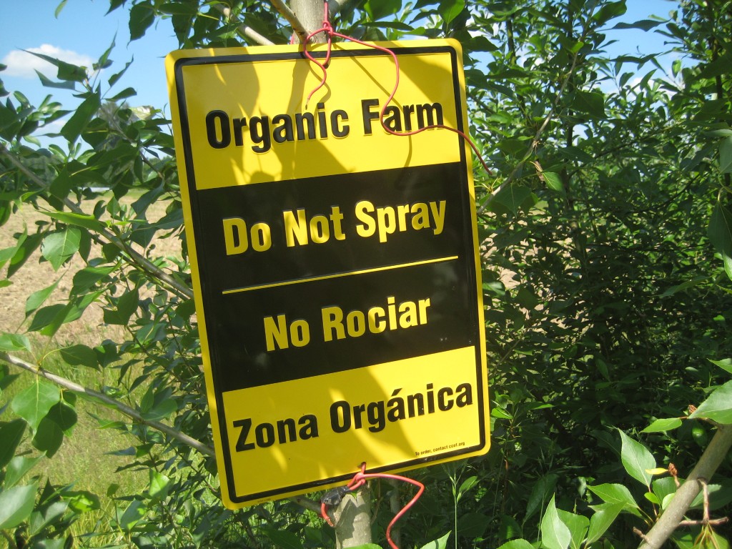 We've got "organic farm" signage posted at the edges of our farm (usually in the midst of thick hedgerows, such as this one). We communicate regularly with our neighbors, but it's helpful to let all possible farm workers on neighboring farms know our status too.