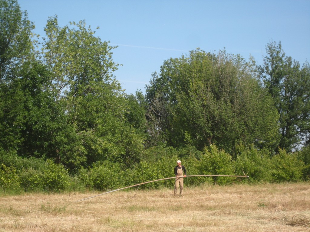 The requisite summer pipe moving photo. Casey does a lot of this these days, especially since we're going into summer with a much drier soil profile than many years.