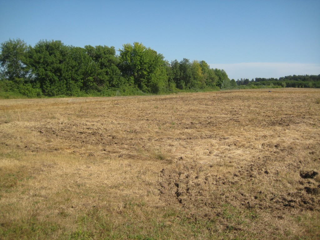 The field for 2016's vegetables, prep work already in progress.