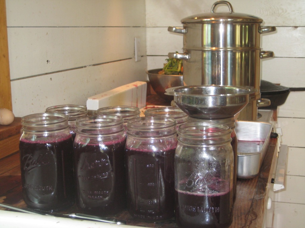 One more kitchen picture. This summer we've been more relaxed than usual about "putting up" food. But two weekends ago we made up for it by keeping our kitchen FULL of projects all Saturday long. Among other things, we steamed some grapes for juice. We froze it all for now and hope to turn it into jelly when the season quiets down more. We love that color!