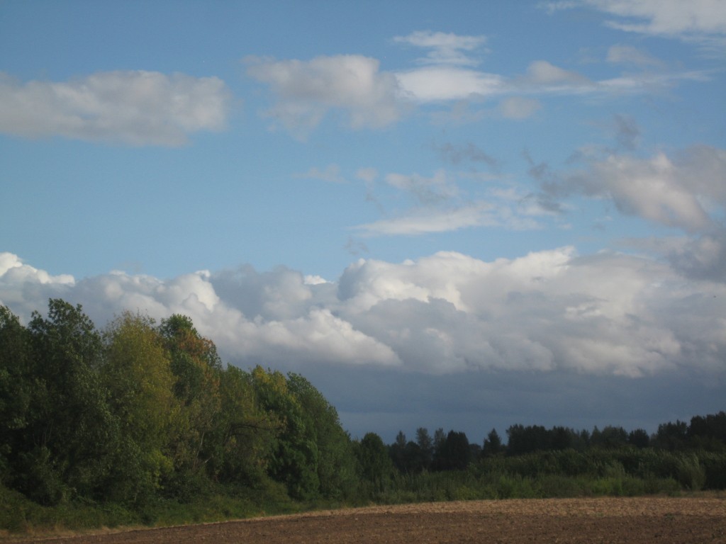 The last few weeks of rain and storms have brought some amazing clouds into our farm landscape. Almost every day we marvel at their mass and patterns.