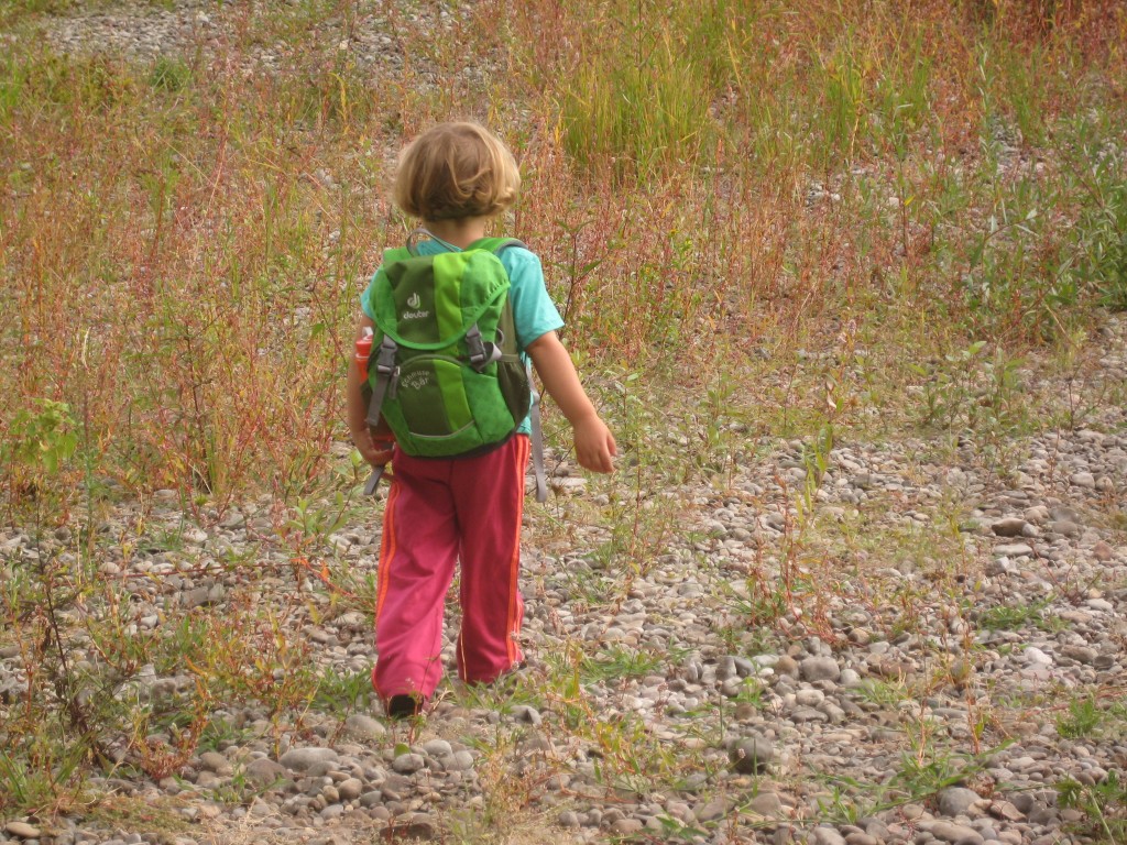 One day after her birthday, Dottie walked our family's favorite hike without being carried at all!