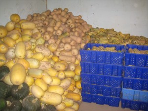 Mounds of squash! This is just SOME of it all!