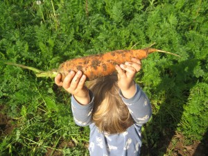 And a little girl shows me a BIG carrot she picked.