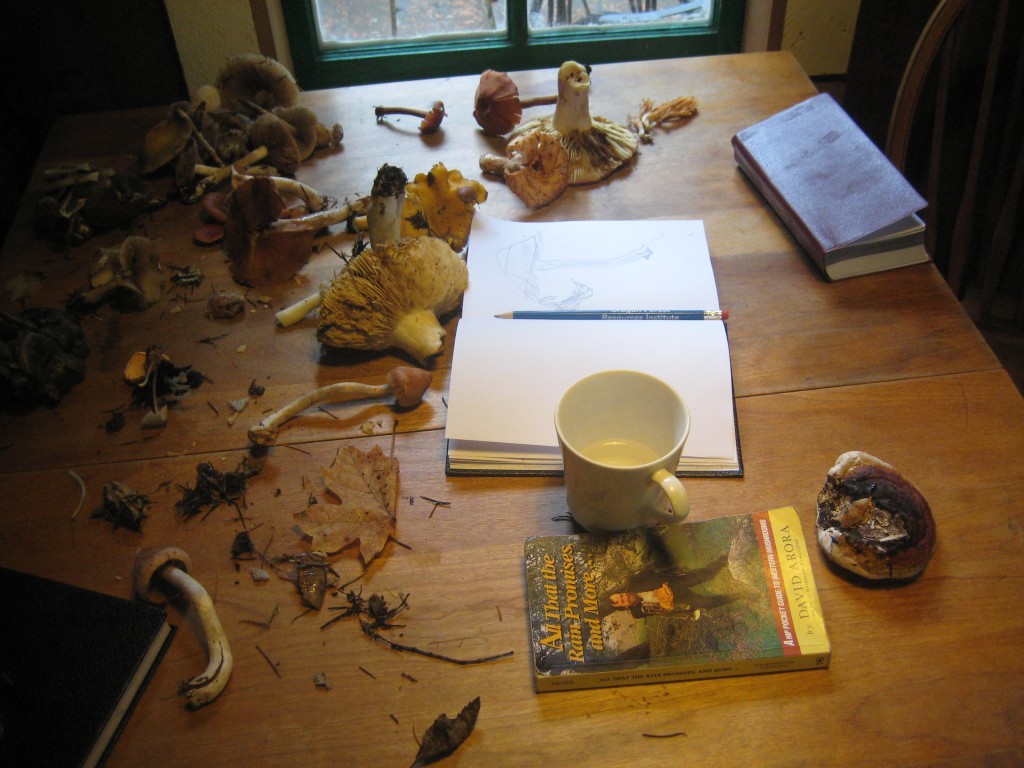 In between hikes, we rested and learned about our mushroom finds.