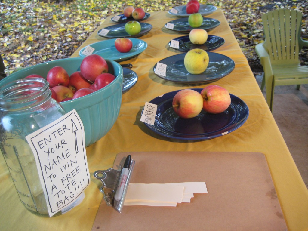 Our apple variety tasting all ready for folks to arrive -- if they can brave the rain!