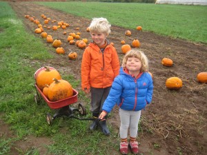 The kids and I waited to pick our carving pumpkins until this morning.