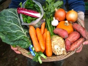 Tasty vegetables = happy holidays!