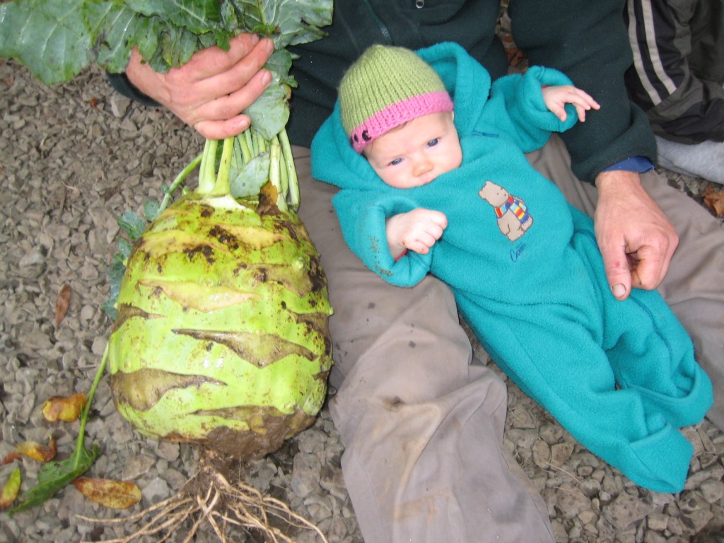 2012 - By Fall, we had a baby who was almost as big as our kohlrabi.