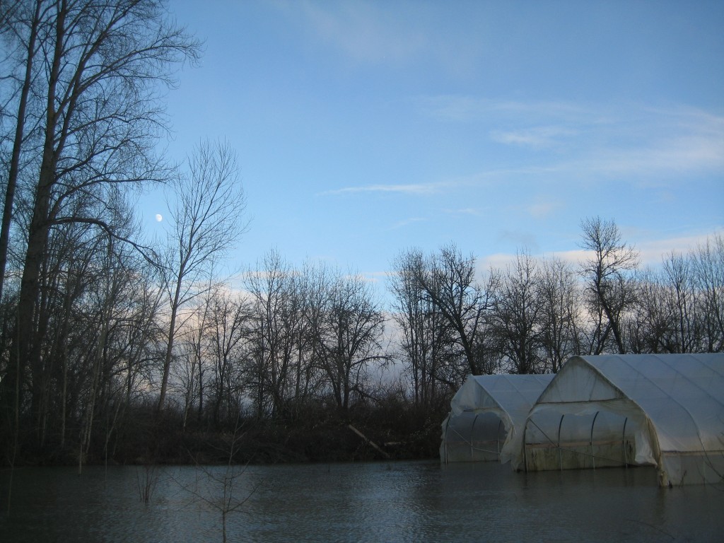 Winter opened with [receding] high waters and a pretty moon that came out to visit as the very short day turned to afternoon/evening.