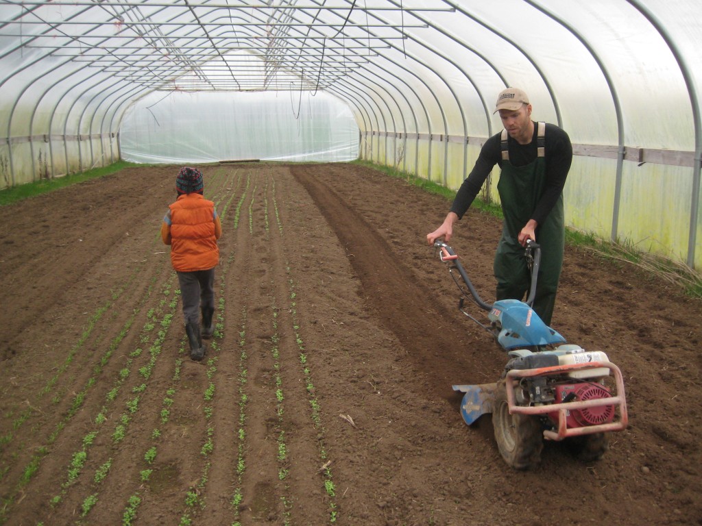 Casey does final bed prep in a high tunnel before we plant some broccoli.