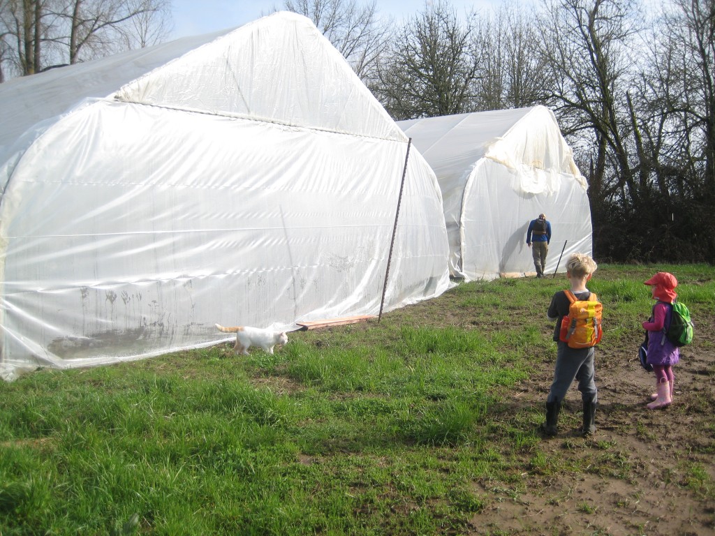 First stop on our walk: two of our four high tunnels, all closed up for maximum February warmth inside.