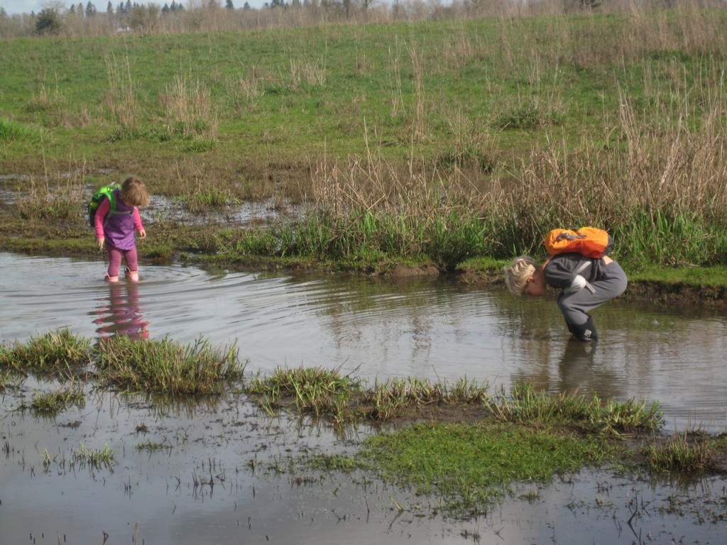 We did find a few amphibian eggs of some kind in these larger puddles, but they were in ones or twos rather than large masses — easy to miss in the sediment.