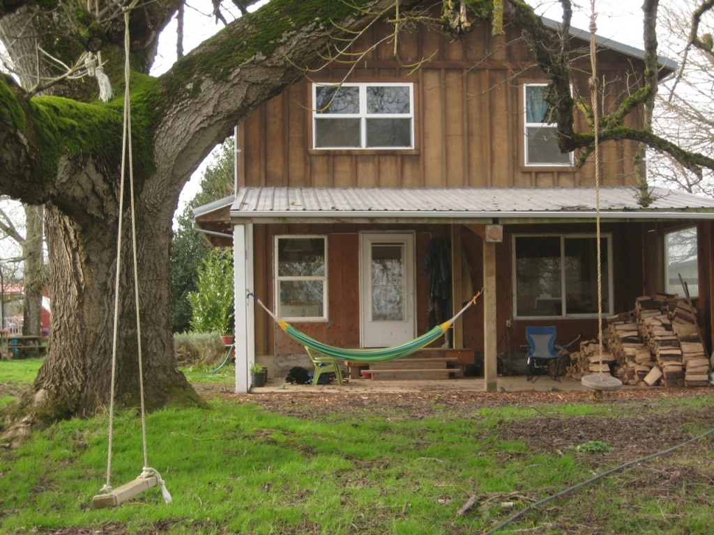 We've hardly touched our wood pile this mild winter, even though our woodstove is our only source of heat.