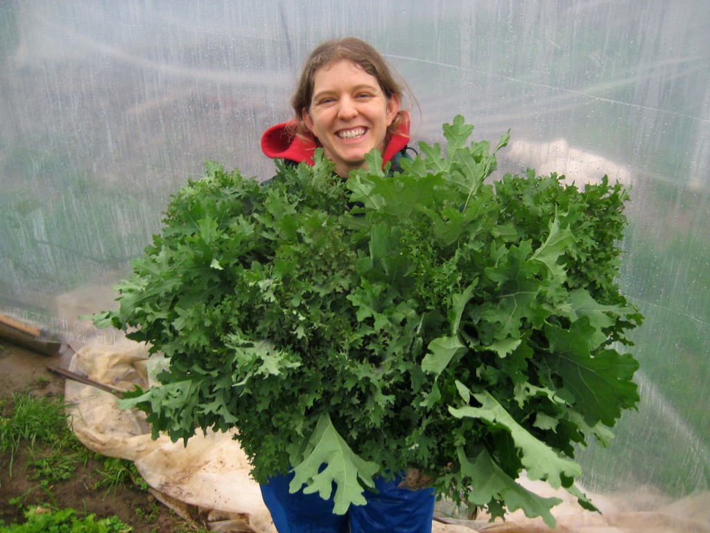 We finished our harvest in the greenhouse, where we picked armfuls of kale! Kale-o-rama!