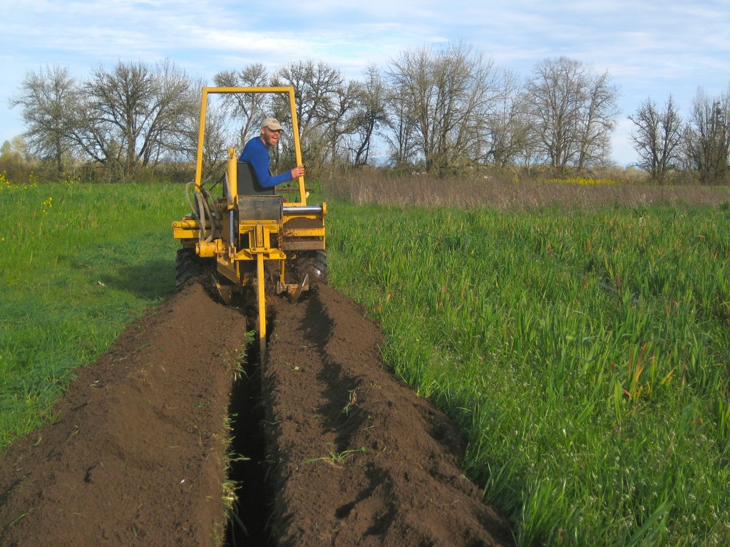 The beginning! Friday afternoon, and Casey was digging a deep trench the fast way. Just LOOK at that SOIL -- that is why we are here.