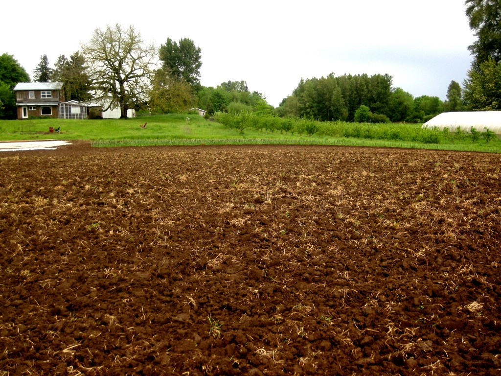 The fields after a big rain on Friday morning.