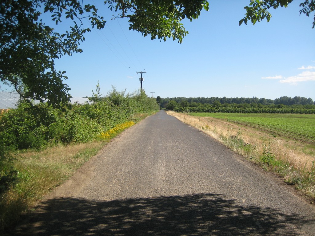 Two different farms, across a road. Read more below.