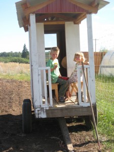 Enjoying plums on their little porch!