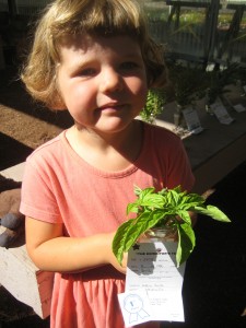 Dottie with her blue ribbon basil