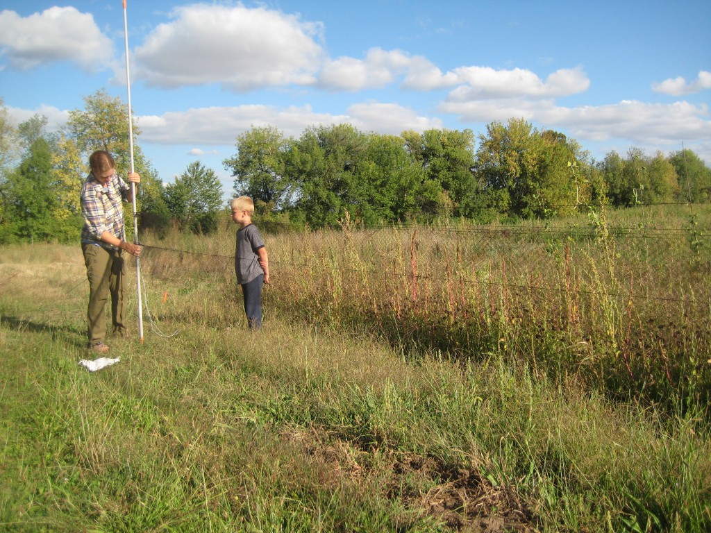 We set up another net between the kids' garden and the north end of our field.