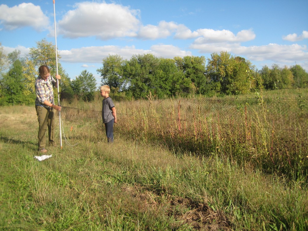 We set up another net between the kids' garden and the north end of our field.