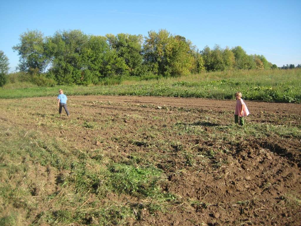 The children run through a freshly worked field.