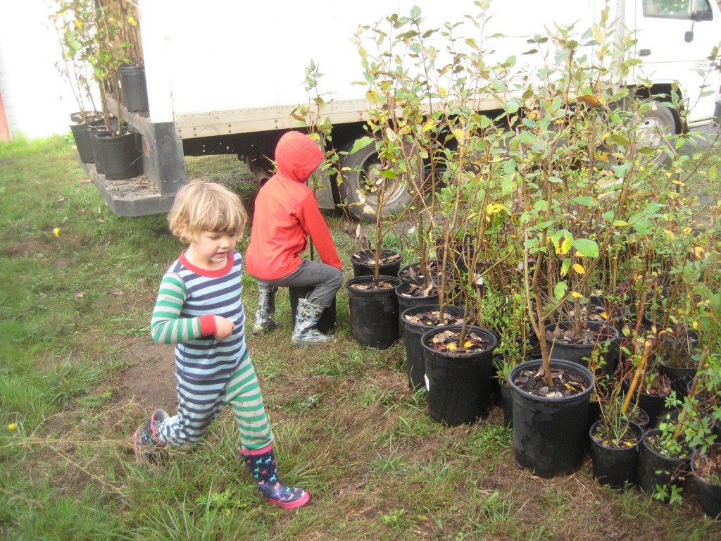 The kids helped to unload hundreds of native trees from our box truck this weekend.