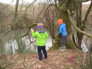 We spent a fun morning recently throwing sticks onto our frozen creek.