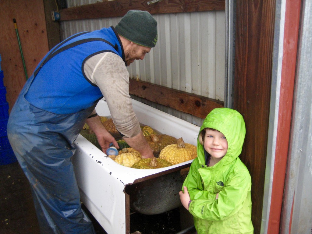 Casey getting back in the swing of winter harvest and wash. Dottie accompanying him.