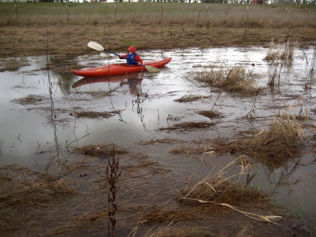 When the river floods ... go kayaking in the field!