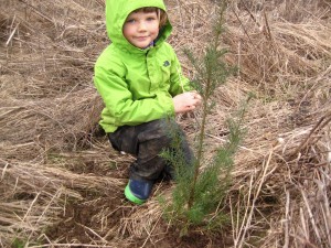 Dottie helped plant the Douglas Fir trees.