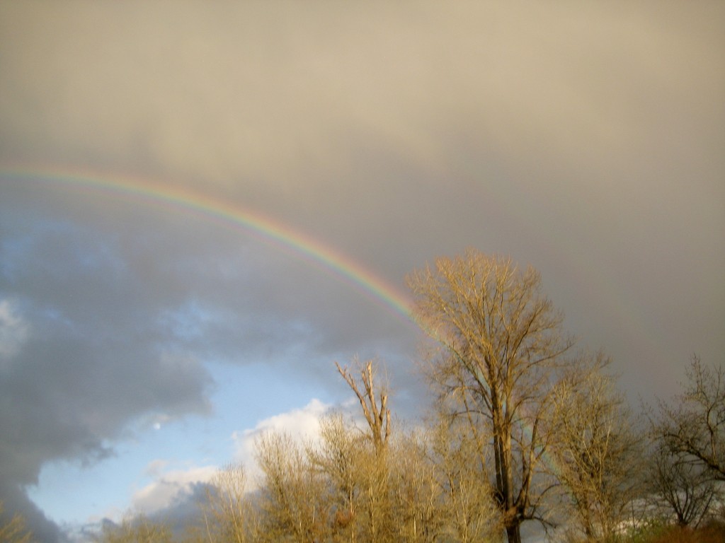 Rain does occasionally bring beautiful rainbows! (Photo credit: Rusty)
