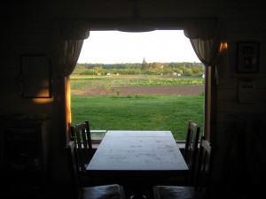 The view of the fields from our picture window is always changing and always beautiful.